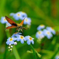 из вчерашней съемки 1 :: Александр Прокудин из вчерашней съемки 1 :: Александр Прокудин