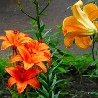 Городские линии. :: Милешкин Владимир Алексеевич 