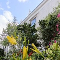 Библиотека Ленина вся в цветах :: Галина R...