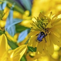 В засос :: Валерий Иванович