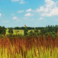 А лето цвета неба, огромное и синее! :: Татьяна Помогалова