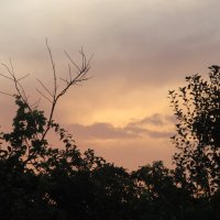 закат в сиреневых тонах :: Елена Шаламова