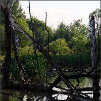 ** :: Сергей Премонишын