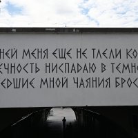 Городок :: redfox 