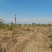 Дорога с вершины Титовской сопки :: Екатерина Панова