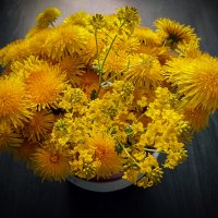 Солнечный лета привет! :: Лилия *