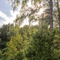 В тени :: sorovey Sol