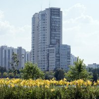 Городские цветы :: VL 
