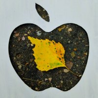 Скоро осень :: Галина Бобкина