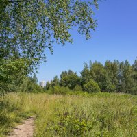 В летний полдень... :: Владимир Жданов