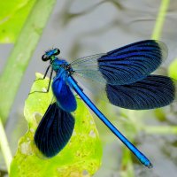 из сегодняшней съемки 5 :: Александр Прокудин