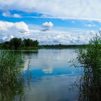 Наше лето (репортаж из поездок по области). :: Милешкин Владимир Алексеевич 