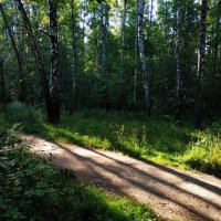 Июль уходит :: Андрей Лукьянов