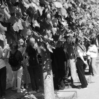 .... :: Юрий Самсонов .... :: Юрий Самсонов