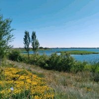 Июль :: Георгиевич 