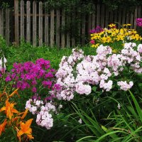 Красота в саду :: Людмила Смородинская