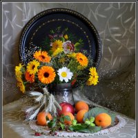 *** :: Aleksandr Gal