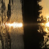 краски заката :: Елена Шаламова