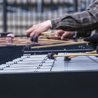 Ксилофон. :: Александр Ксилофон. :: Александр