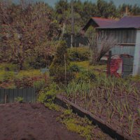 Village :: Ильич -