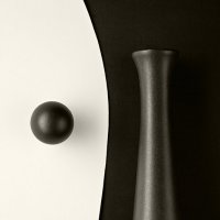 Чёрное и белое 5 :: Вениамин Скородумов Чёрное и белое 5 :: Вениамин Скородумов