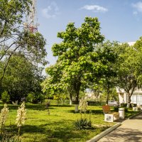 Дорожка :: Анатолий Чикчирный