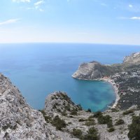 Природа Крыма :: Amazing Cosmea