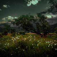 Шторм надвигается. :: Георгий Шторм надвигается. :: Георгий