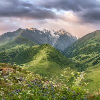 Кавказ :: Владимир Колесников