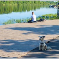 Такой охранник не проспит :: Алексей Сопельняк