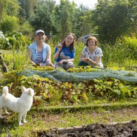 Родная дача :: Алексей Сопельняк