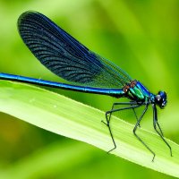 из вчерашней съемки 3 :: Александр Прокудин