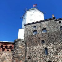 Выборгский замок. :: Ольга Довженко Выборгский замок. :: Ольга Довженко