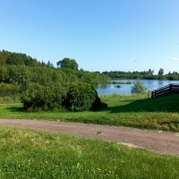 У лесного озера Лаагна :: Veera V