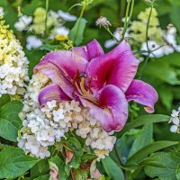 Подружки :: Валерий Иванович