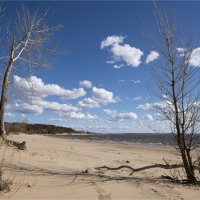 Волжский берег, апрель :: **** vedin