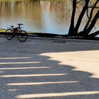 Формы и тени. :: Любимова Ольга 