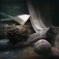 Оригами :: Владимир Нефедов