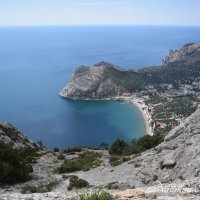 Природа Крыма :: Amazing Cosmea