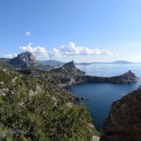 Природа Крыма :: Amazing Cosmea