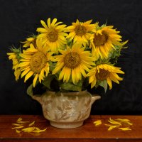 *** :: Надежда Куркина *** :: Надежда Куркина