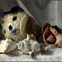 Морской :: Aleksandr Gal Морской :: Aleksandr Gal