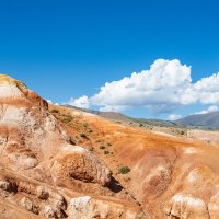 *** :: Николай Чекалин