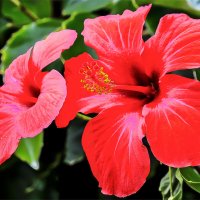 Розы на улицах испанских городов :: Alexandеr P