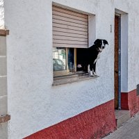 Всегда на страже :: Alexandеr P