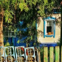 * :: Оксана Н.