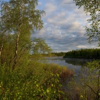 Северная природа :: Виктория 