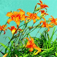 ЛЕТО :: Юрий Владимирович 34