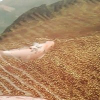 112 (114) :: СТРЕН 