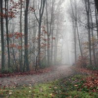 *** :: Андроник Александр 